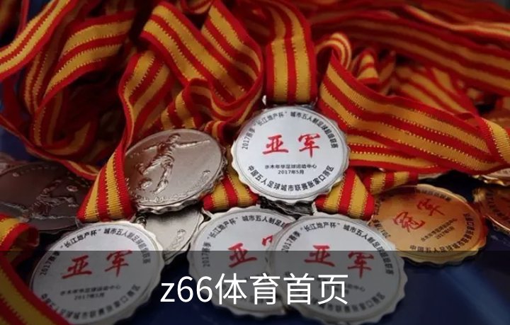 z66体育首页介绍